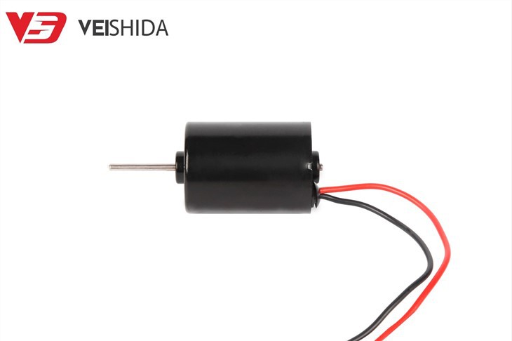 3650 High Torque 12V 24V DC Brushless Motor