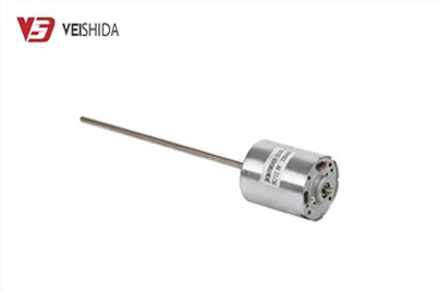 Silnik szczotkowy prądu stałego 12 V