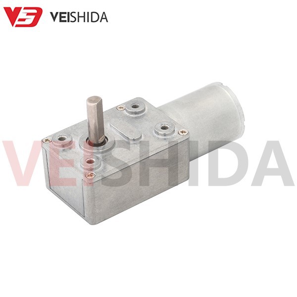 VSD - 32W2430 Worm Gear Motor VSD - 32W2430 Worm Gear Motor