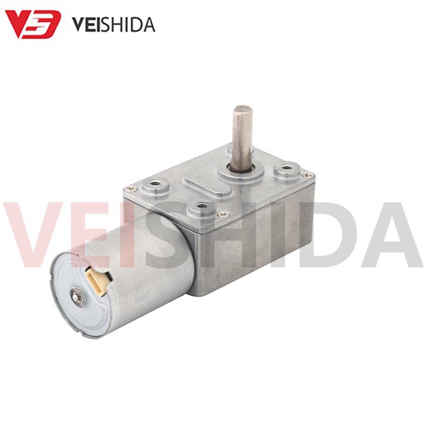 VSD - 32W2430 Worm Motor VSD - 32W2430 Worm Motor